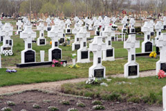 Į kapines —  pagal politinę spalvą