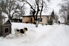 Vėlų vakarą sodybą sudrebino šūviai