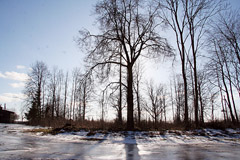 Iš našlaičių atimtas palikimas