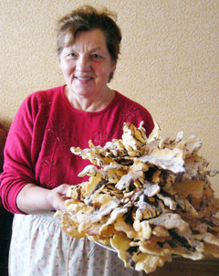 Cukraus pudros pamokos