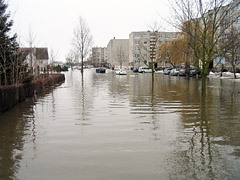 Polaidis skandino Joniškį