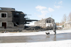 Bevaisės pliuso paieškos