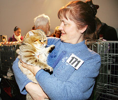 Augintiniams krizė neprasidėjo