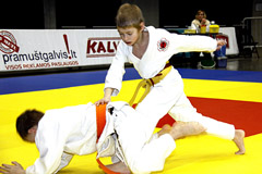 Imtynininkams Šiaulių arena buvo sėkminga