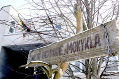 Direktorės ir mokytojo byloje liudija mokiniai