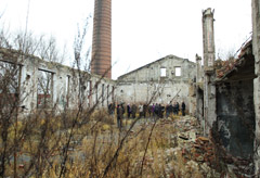 Korupcijos inkubatoriuje lenda pirmieji daigeliai