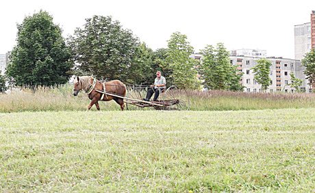 Žemės rinkoje didėja įtampa