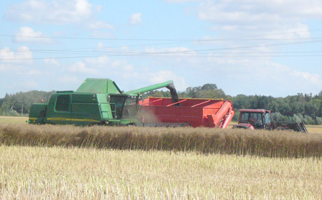 Šv. Ona ne­bu­vo ma­lo­nin­ga