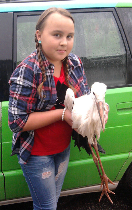 Ūdekiečiai išgelbėjo sužeistą gandrą