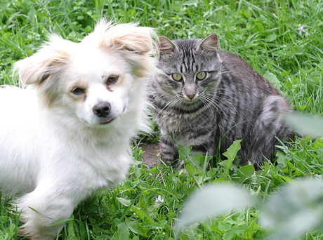 Kai iš santuokos lieka draugystė