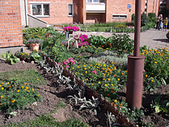 Vyksta akcija „Už žydintį ir švarų saulės miestą“