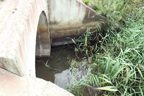 Šiaulių jūra – ne vonia