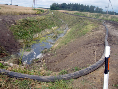 Dėl kiaulių srutų nubaustas jaunavedys