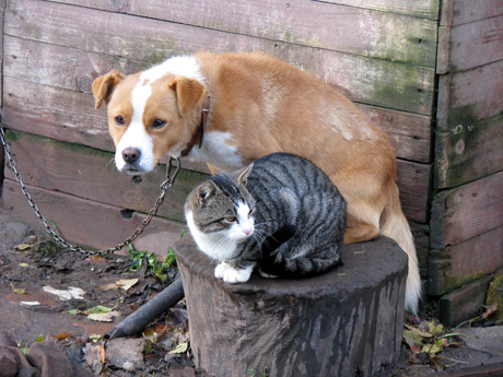 Tu suė­dei mano gy­ve­ni­mą