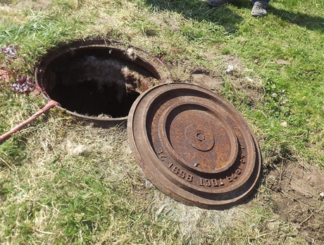 Nugaišo į šu­li­nė­lį įkri­tęs ark­lys