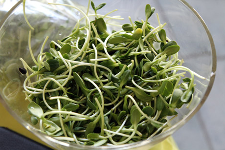 Pakeista mityba pakeičia ir ateitį