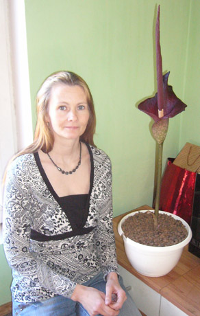 Lavongėlė pražydo po aštuonerių metų