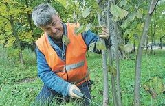 Pašalpininkų darbas organizuojamas kaip kam išeina
