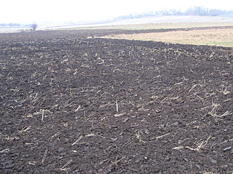 Konflikto atomazga – užarti pasėliai