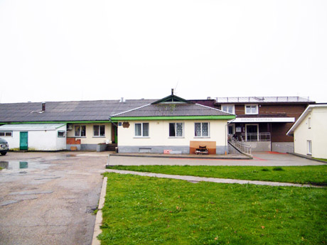 Se­nat­vė ša­lia ka­li­nių ir aso­cia­lių asmenų