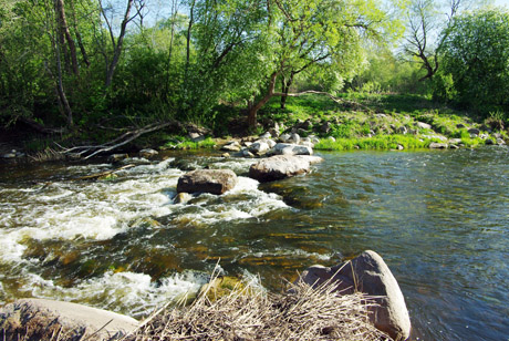 Vyriausiojo kontrolieriaus neskubama sukontroliuoti