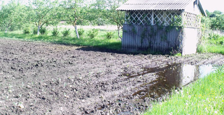 Iš sodų varo potvyniai ir valdžios atsainumas