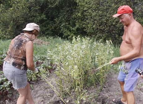 Poilsis sode geriau už Palangą