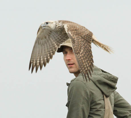 Baltijos šalių oro erdvę padeda saugoti paukščiai