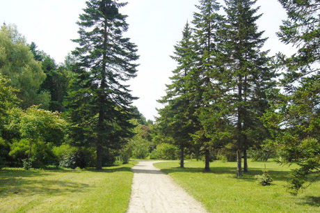 Skaistgirio parkas žaliuoja jau 50 metų