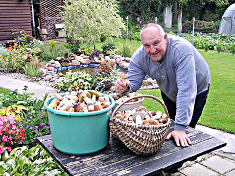 Baravykų džiaugsmas