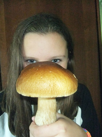 Ki­de­lie­nės gry­bai