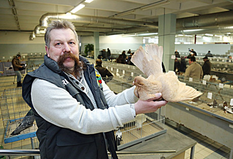 Parodoje balandžiai kedeno plunksnas