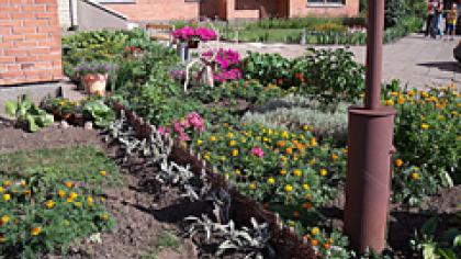 Vyksta akcija „Už žydintį ir švarų saulės miestą“