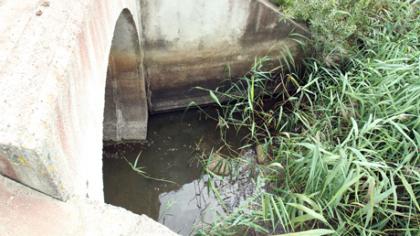 Šiaulių jūra – ne vonia