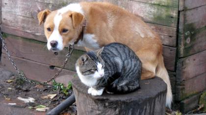 Tu suė­dei mano gy­ve­ni­mą