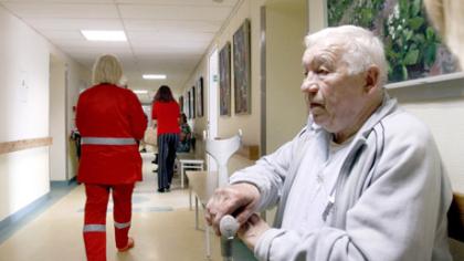 Judi, vadinasi, gyvas