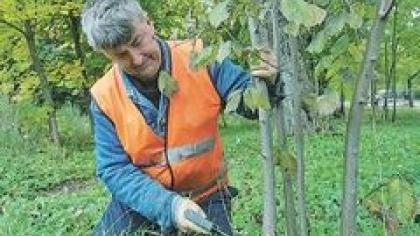 Pašalpininkų darbas organizuojamas kaip kam išeina