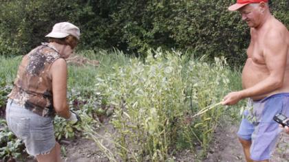 Poilsis sode geriau už Palangą